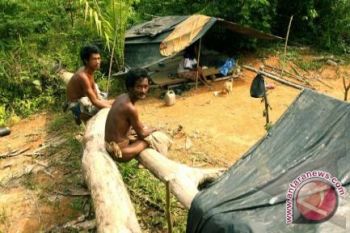 Besudut Anak Rimba pertama yang lulus universitas