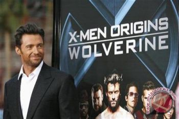 Wolverine Rajai Box Office