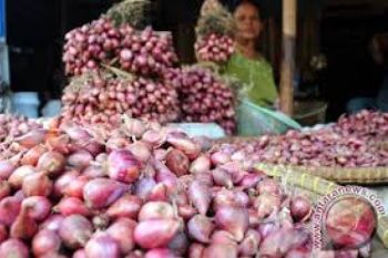 Harga Bawang Merah Tembus Rp47.200/Kg