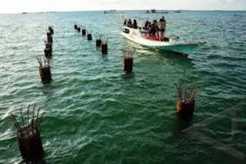 Cuaca Membaik, Ratusan Turis Diseberangkan ke Jepara