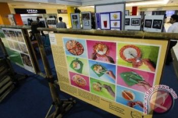 Informasi Yang Paling Dicari Saat Ramadhan Versi Google