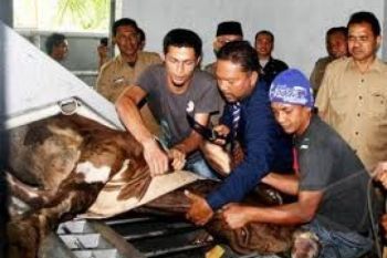 Kudus Miliki RPH Modern Senilai Rp7,5 Miliar