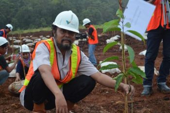 PT. Vale Indonesiaa Bangun "Taman Tambang"
