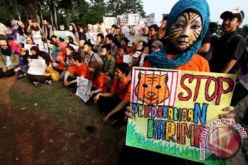 Hari Harimau Internasional