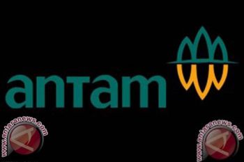 Antam Persiapkan Konstruksi "Electric Smelting" di Pomalaa
