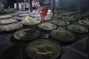 Perajin Tempe Didorong Gunakan Kedelai Lokal