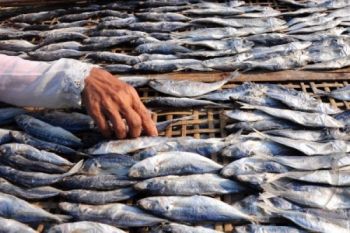 IKAN ASIN