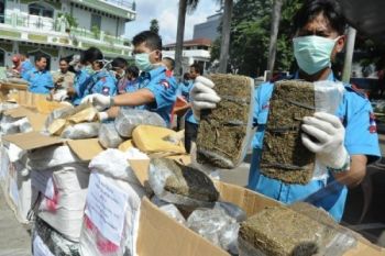 Polda Jateng Musnahkan 4,4 Kilogram Ganja