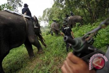 Indonesia Butuh Banyak Polisi Hutan