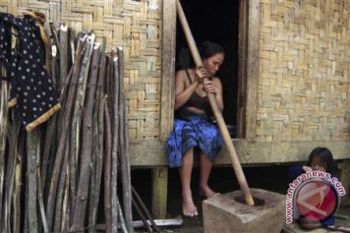 Pemkab Tojo Una-Una Bantu 401 Rumah 