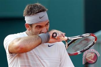 Del Potro Melaju ke Sidney International