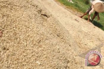 Sisik Ikan Disulap Jadi Penyerap Kromium