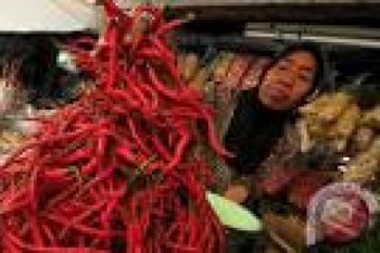 Produksi Cabai Jambi Turun 55,30 Persen