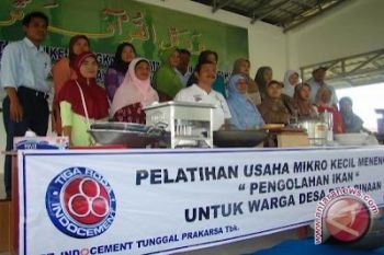 Pekan Kreatif digelar sambut HUT Indocement 2013 