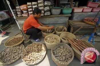 Akademisi diharapkan berperan kembangkan obat bahan alam 