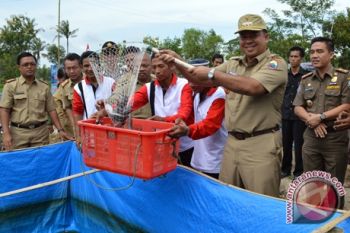 Lampung Selatan Upayakan Peningkatan Investasi