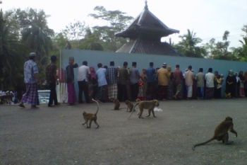 Pengikut Islam 'Aboge' Shalat Id Jumat