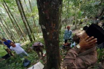 "Langit Terbuka" Awali Banjarnegara Hijau