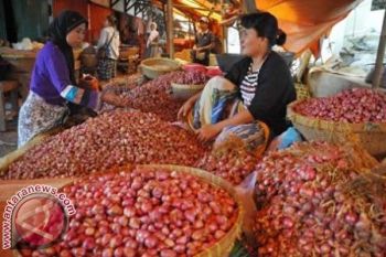 Harga bawang merah kembali melambung