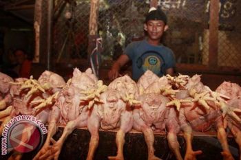 Idul Fitri - Walikota Panggil Pedagang Ayam Terkait Melonjaknya Harga 