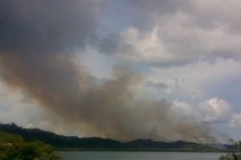 Hutan Pulau Galang Dibakar untuk Perkebunan