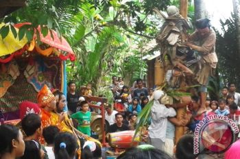 PANJAT PINANG PANTUL