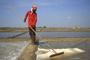 Petani Garam Rembang Andalkan Informasi Cuaca BMKG