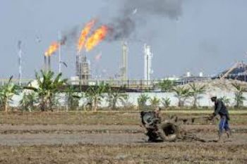 Aktivis Kudus Desak Penghentian Alih Fungsi Lahan
