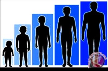 Lebih sehat dan lebih besar: Pria Eropa bertambah tinggi 11 cm dalam satu abad
