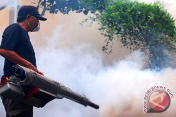 Kotawaringin Timur Lakukan Fogging Massal Sebulan Penuh