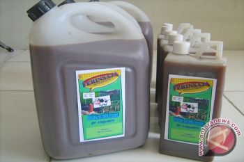 UGM manfaatkan urine sapi untuk pupuk cair 