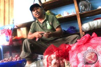 Bawang Merah Picu Inflasi Di Kalteng