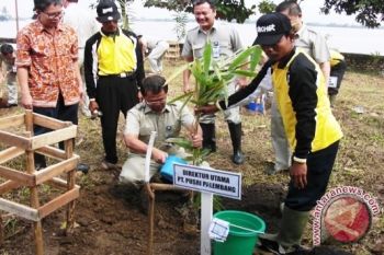 PT Pusri tanam ribuan pohon