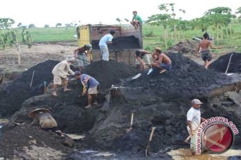  WWF: Hentikan Penambangan Di Dekat Lokasi Konservasi