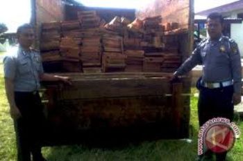 Polres Dharmasraya Tangkap Truk Angkut Kayu Ilegal