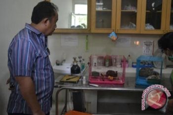 Mabes Polri intensifkan operasi perdagangan satwa langka 