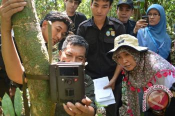 Sulit Memastikan Populasi Badak Indonesia