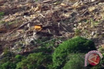  Tambang Liar Ancam Kelestarian Alam