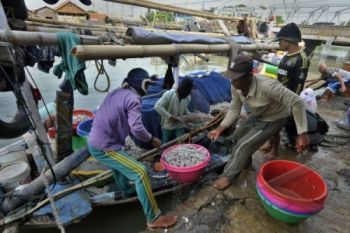 Panen Ikan Kali Ini, Nelayan Tak Nikmati Hasil