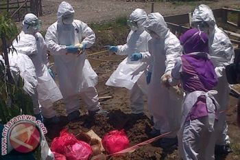 Distanak Sulbar Mulai Waspadai Merebaknya Flu Burung 