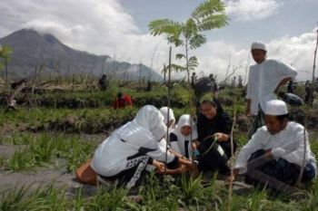 Libatkan Warga, Lahan Kritis Lereng Merapi Ditanami Durian