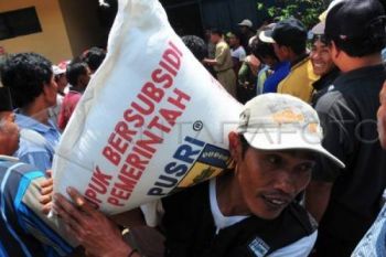 Pemerintah Alokasikan Subsidi Pupuk Rp18 Triliun