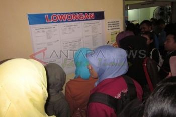 "Job Fair 2013"