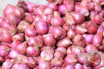 Bawang Merah Penyumbang Deflasi September