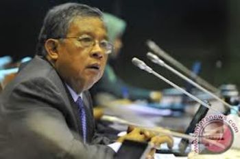 Darmin: Saya Ungkap di Pengadilan