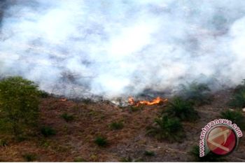  Hutan Riau Terus Saja Dilalap Api