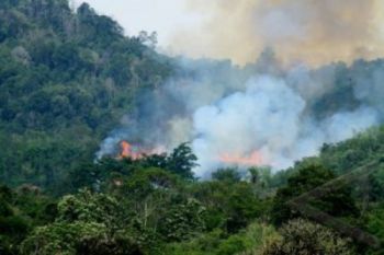 Terra-Aqua Deteksi 22 &amp;quot;Hotspot&amp;quot; di Riau