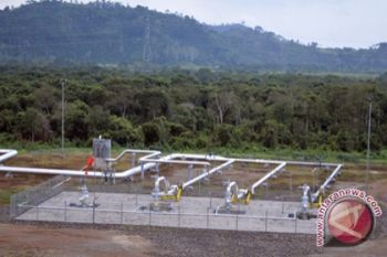 Potensi Energi Panas Bumi Lampung dan Pengusahaannya yang Ramah Lingkungan