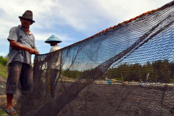 HNSI minta KKP latih nelayan buat jaring milenium