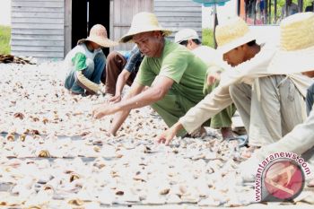 HSU Targets Patin Fish Processing